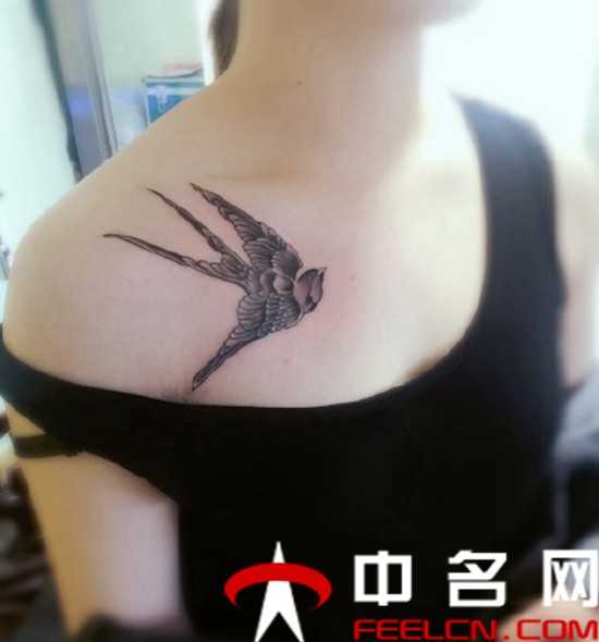 燕子纹身图案,燕子纹身手稿,燕子纹身图片