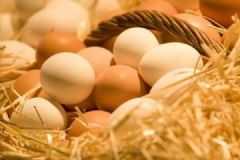 糖尿病吃鸡蛋有什么好处？但这4种鸡蛋不要吃